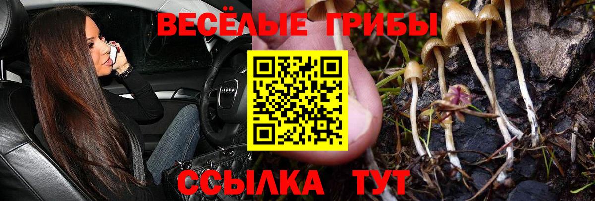 Иваново  Псилоцибиновые грибы ЛСД  Вход с VPN  Галлюциногенные грибы ЛСД 