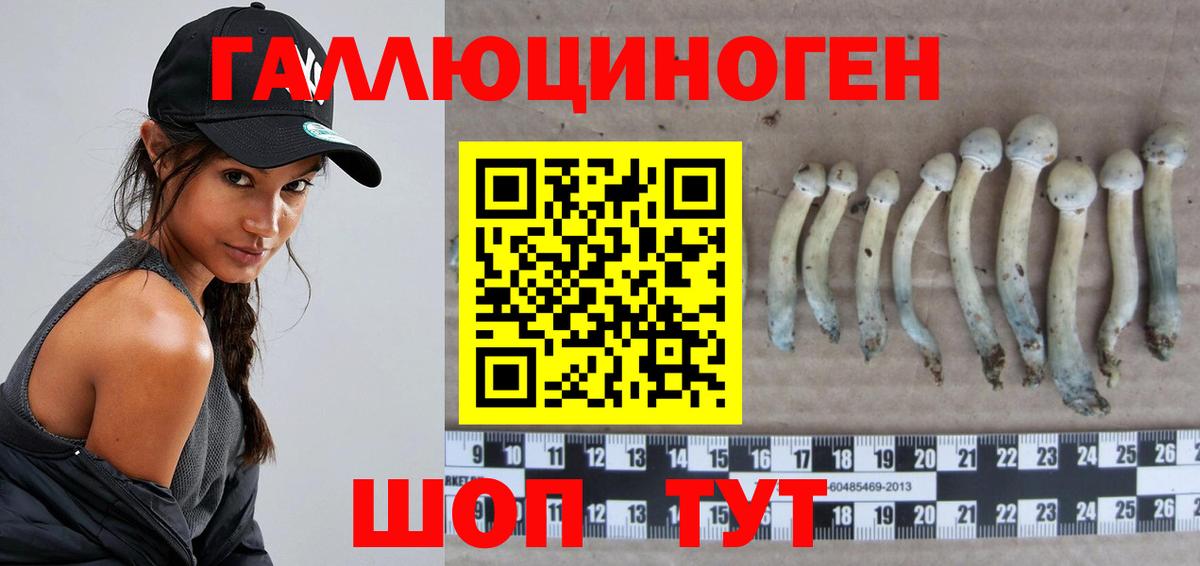 Псилоцибиновые грибы мухоморы Иваново